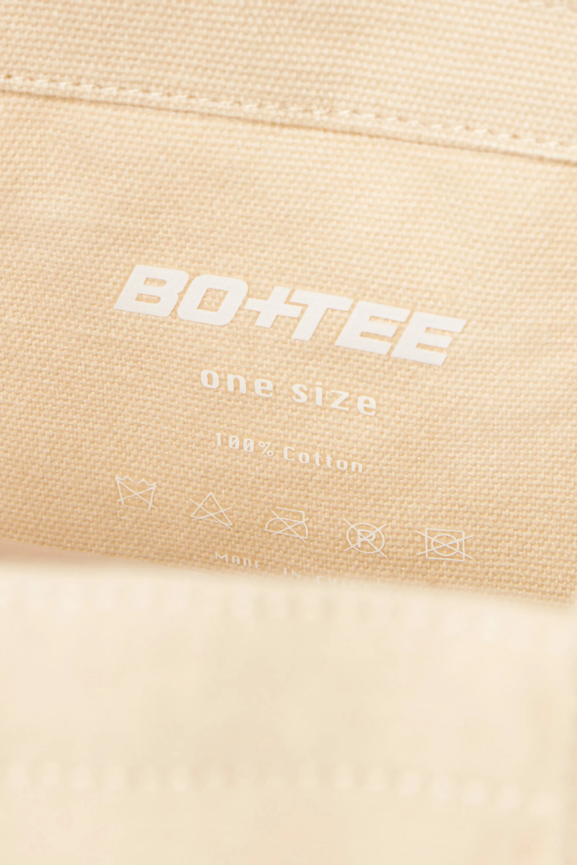 Small Canvas Tote Bag in Beige
